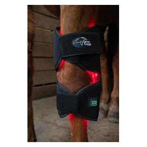 Red Light Therapy Horse Hock Wrap  Ortho Equine